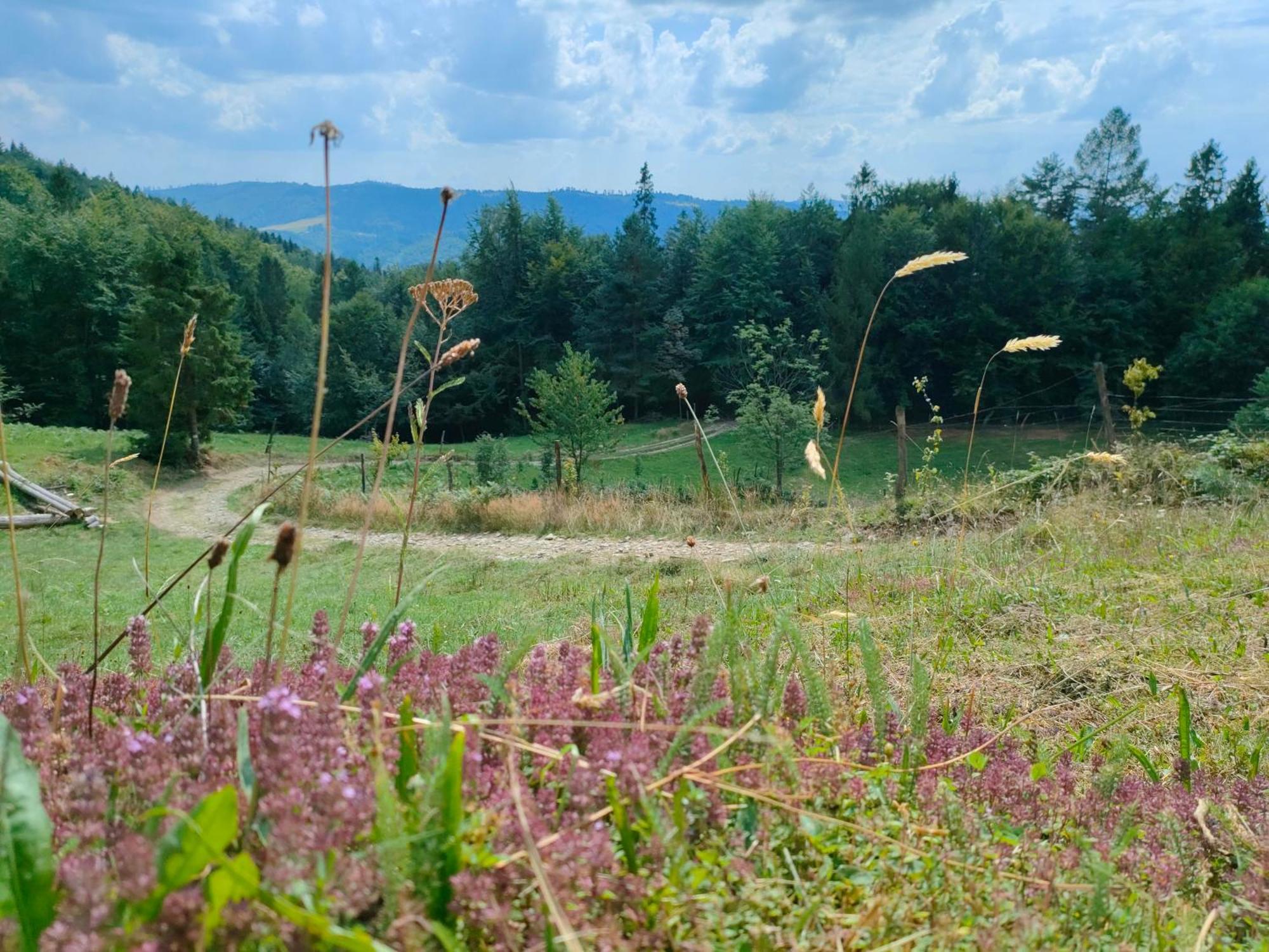 Dom Na Gorce - Apartamenty W Beskidach Gorki Wielkie Zewnętrze zdjęcie